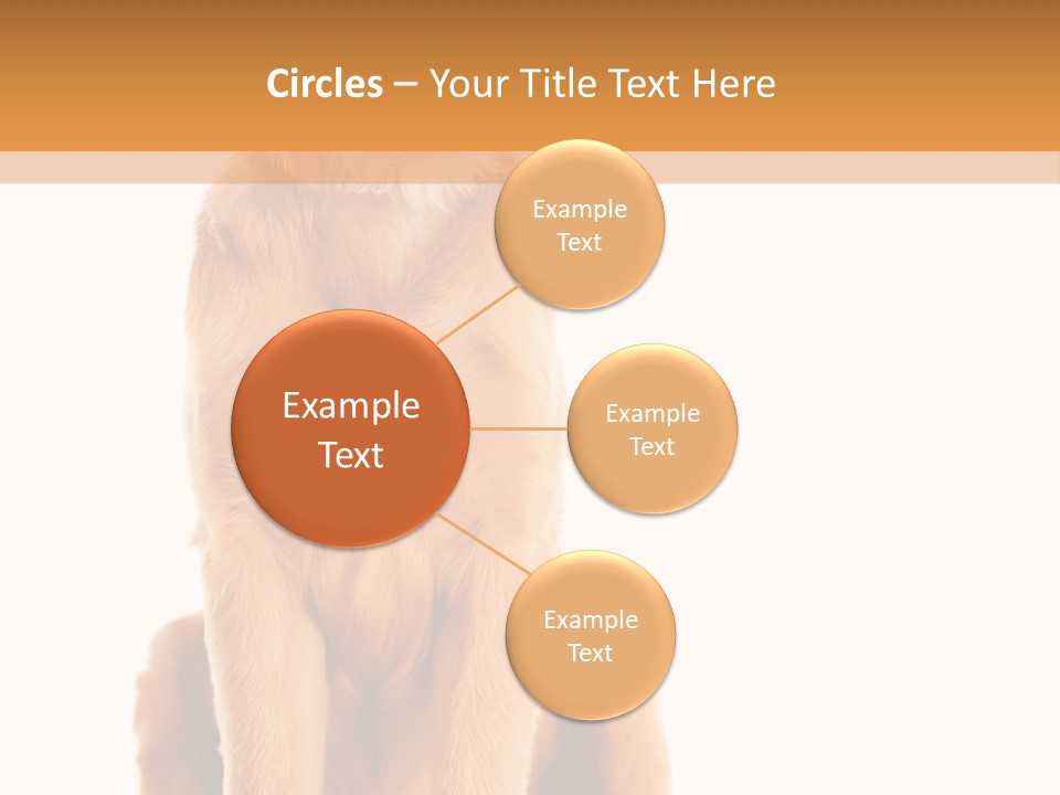 Retriever Golden Yellow PowerPoint Template