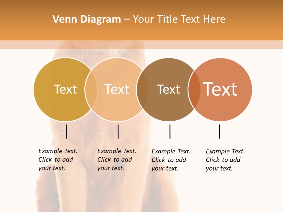 Retriever Golden Yellow PowerPoint Template