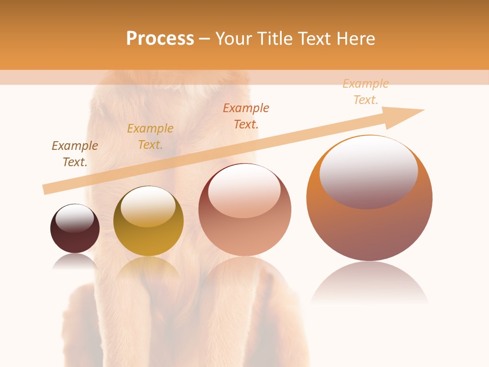 Retriever Golden Yellow PowerPoint Template
