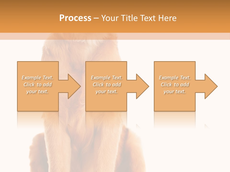 Retriever Golden Yellow PowerPoint Template