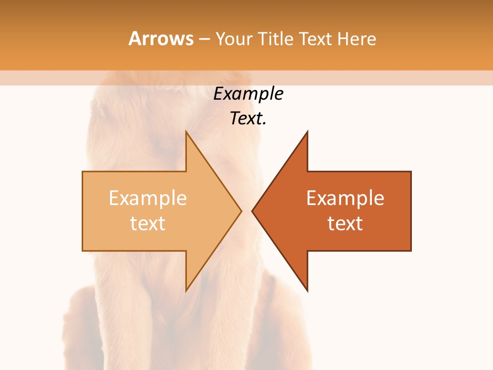 Retriever Golden Yellow PowerPoint Template