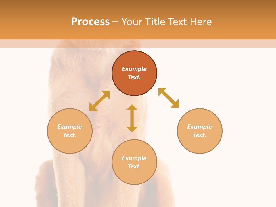 Retriever Golden Yellow PowerPoint Template