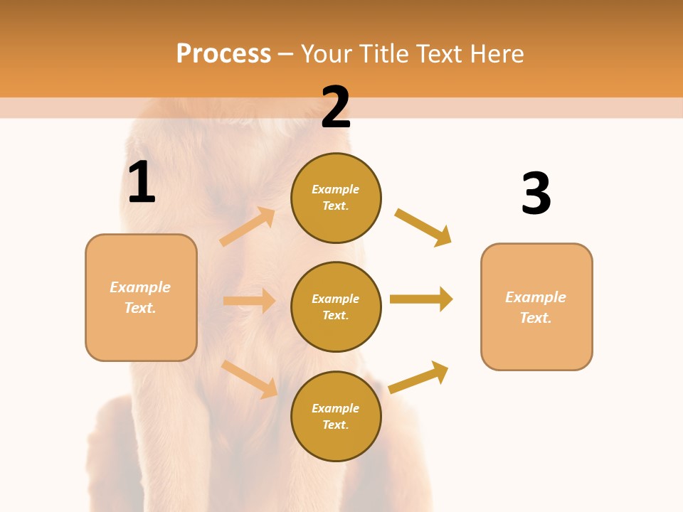Retriever Golden Yellow PowerPoint Template