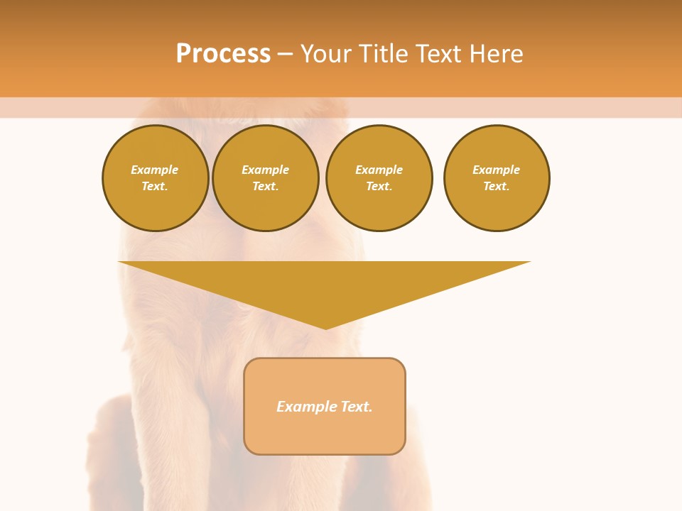Retriever Golden Yellow PowerPoint Template