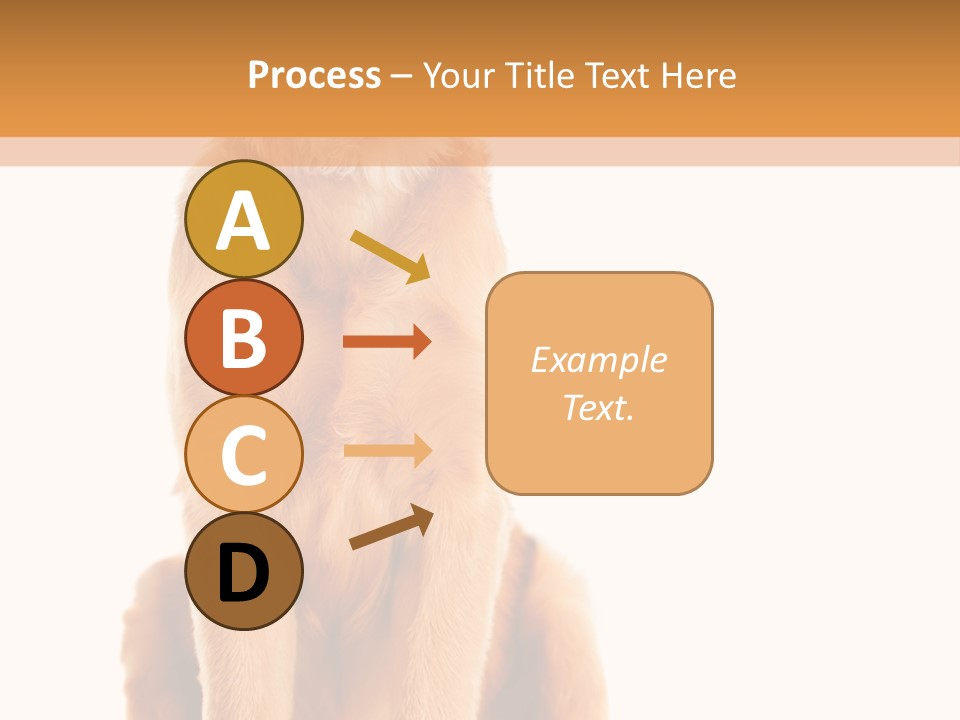 Retriever Golden Yellow PowerPoint Template