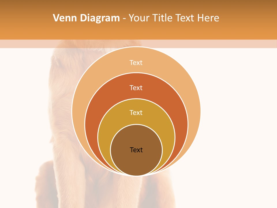Retriever Golden Yellow PowerPoint Template