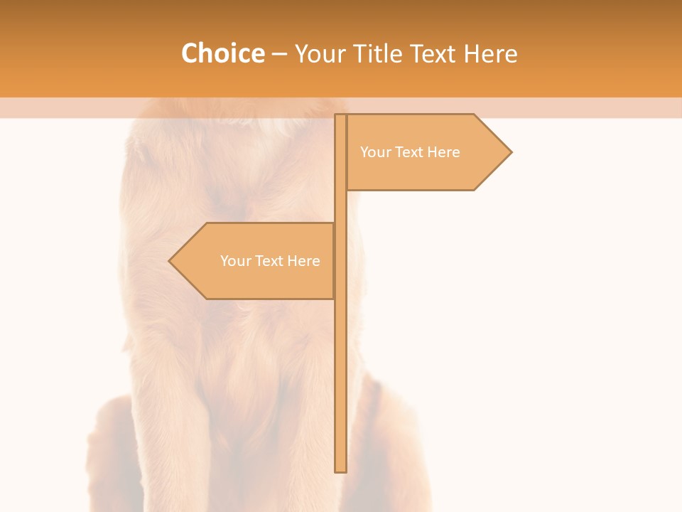 Retriever Golden Yellow PowerPoint Template