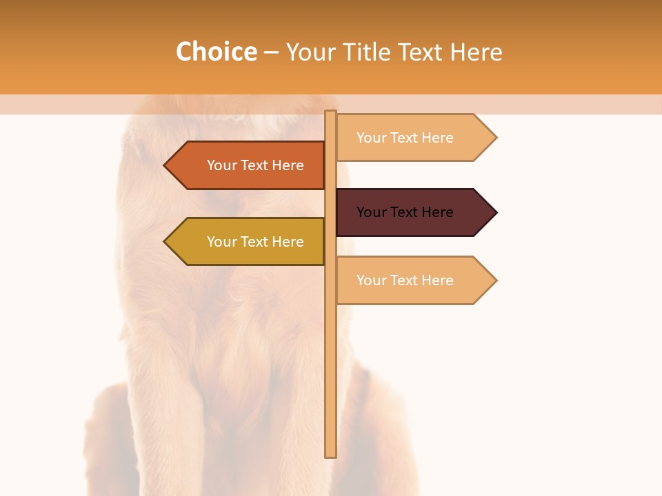 Retriever Golden Yellow PowerPoint Template