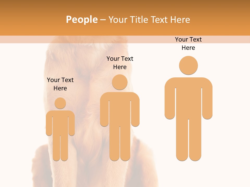 Retriever Golden Yellow PowerPoint Template