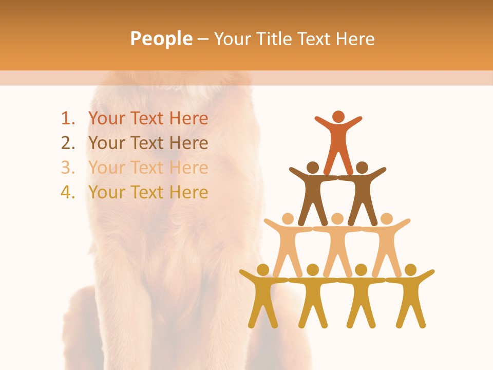 Retriever Golden Yellow PowerPoint Template