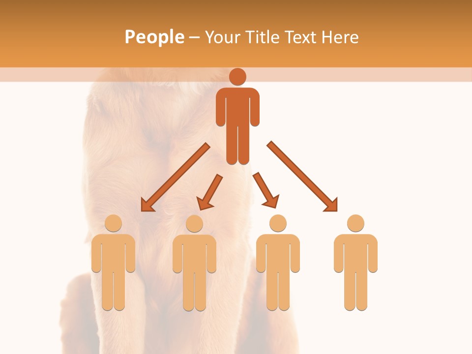 Retriever Golden Yellow PowerPoint Template