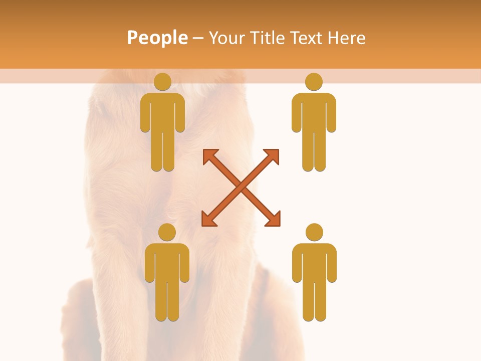 Retriever Golden Yellow PowerPoint Template