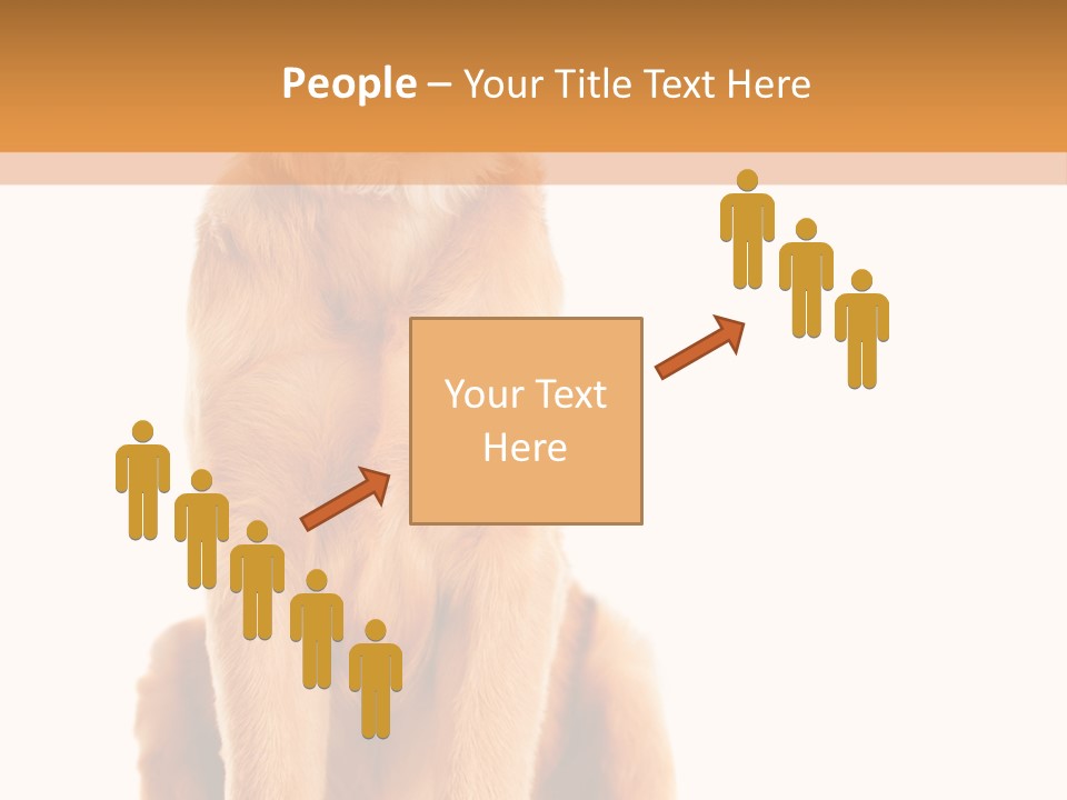 Retriever Golden Yellow PowerPoint Template