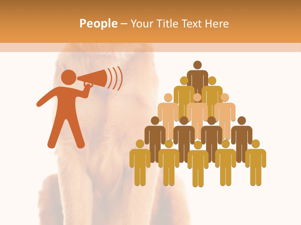 Retriever Golden Yellow PowerPoint Template