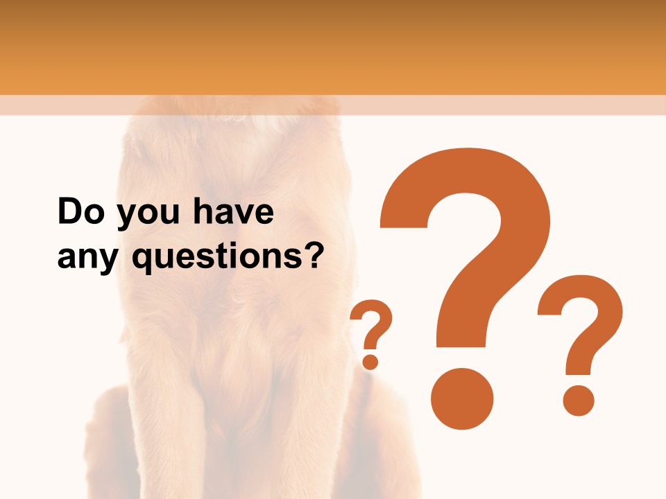 Retriever Golden Yellow PowerPoint Template