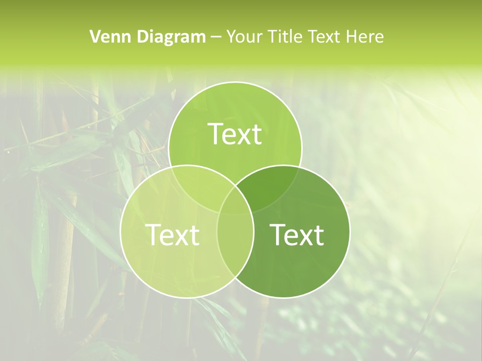 Border Tree Asian PowerPoint Template