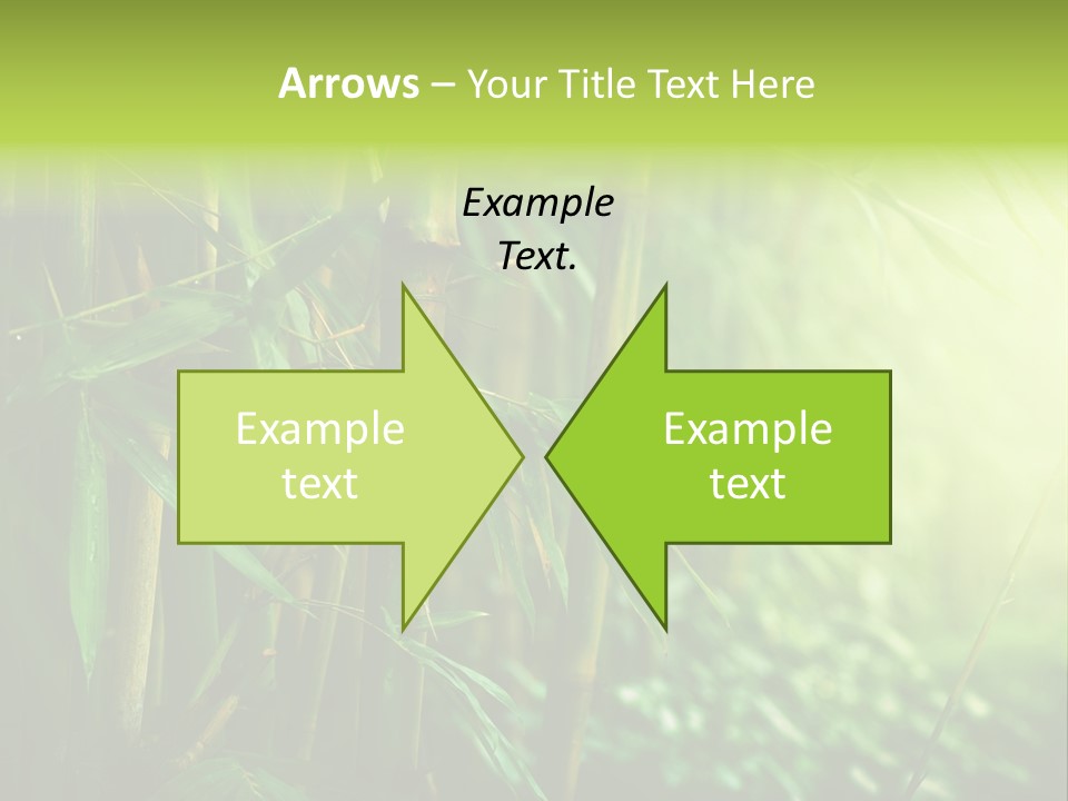 Border Tree Asian PowerPoint Template