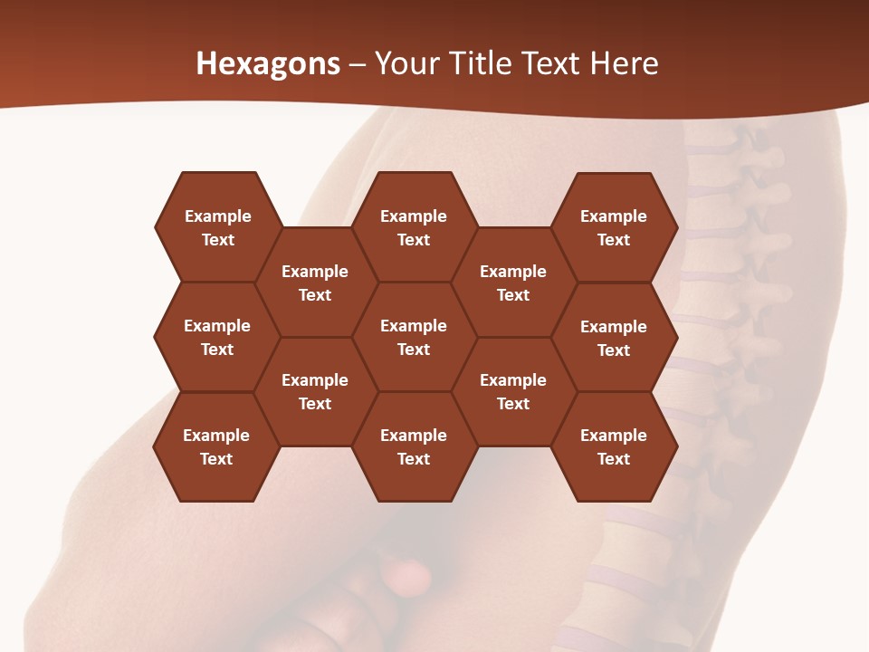 Sideways Pangs Bone PowerPoint Template