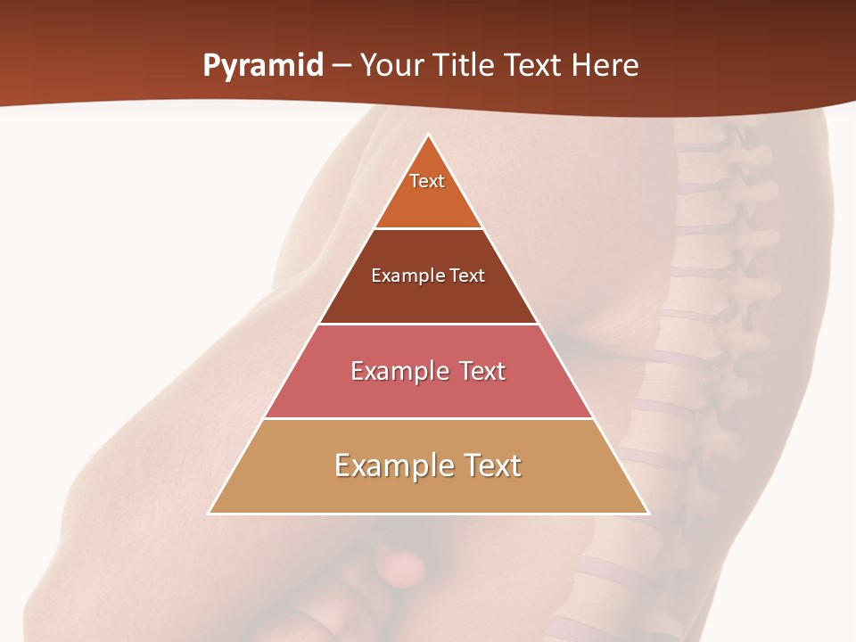Sideways Pangs Bone PowerPoint Template