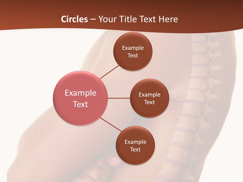 Sideways Pangs Bone PowerPoint Template