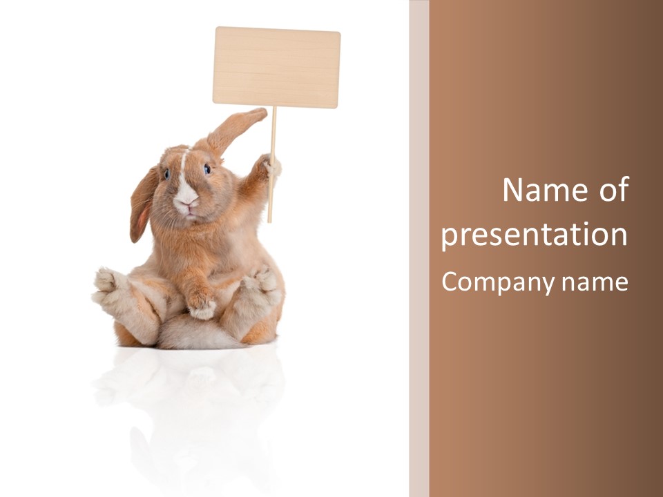 Fur Little Adorable PowerPoint Template