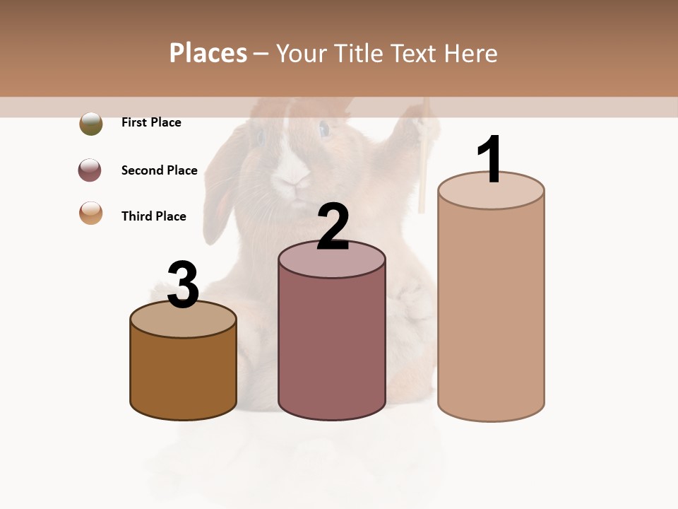 Fur Little Adorable PowerPoint Template