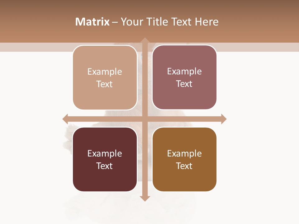 Fur Little Adorable PowerPoint Template