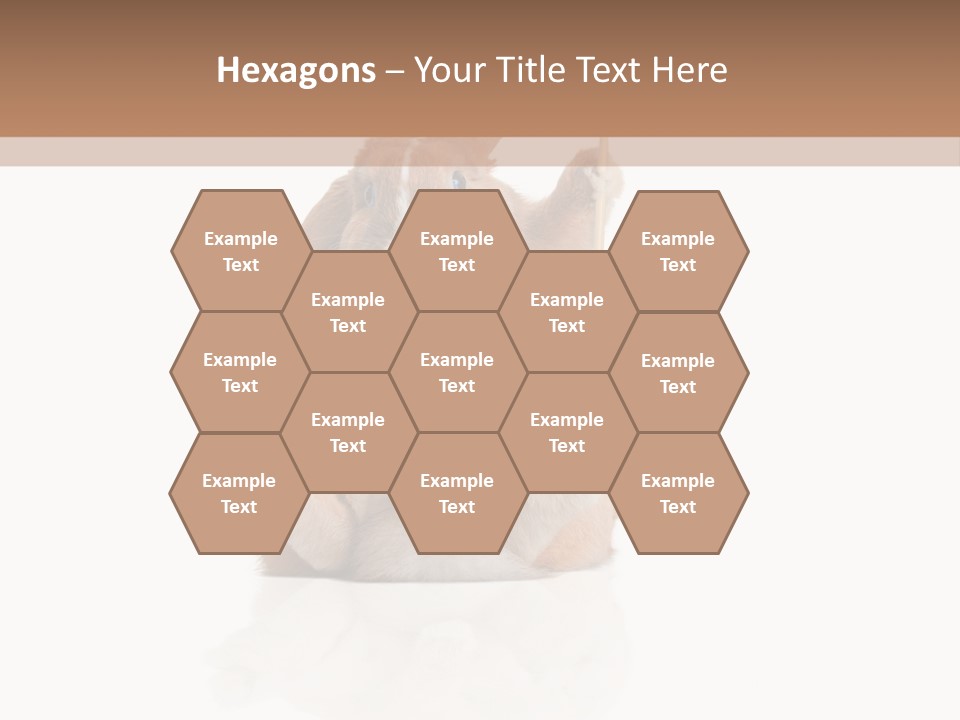 Fur Little Adorable PowerPoint Template