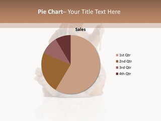 Fur Little Adorable PowerPoint Template