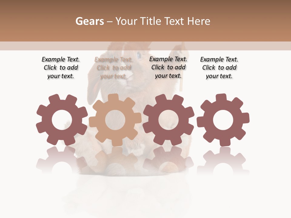 Fur Little Adorable PowerPoint Template