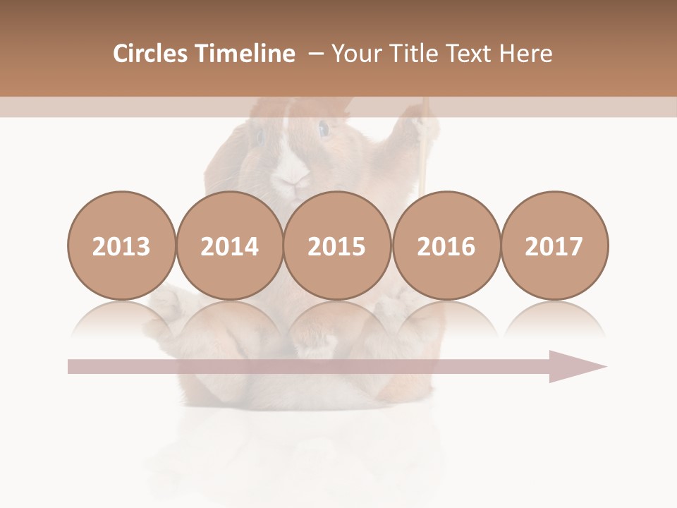 Fur Little Adorable PowerPoint Template