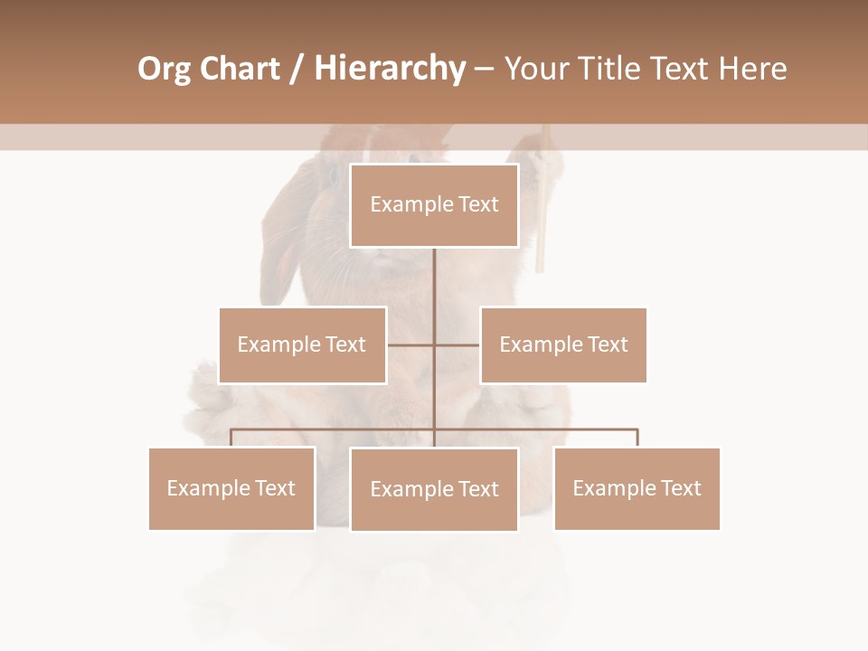Fur Little Adorable PowerPoint Template