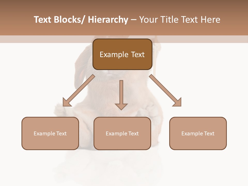 Fur Little Adorable PowerPoint Template