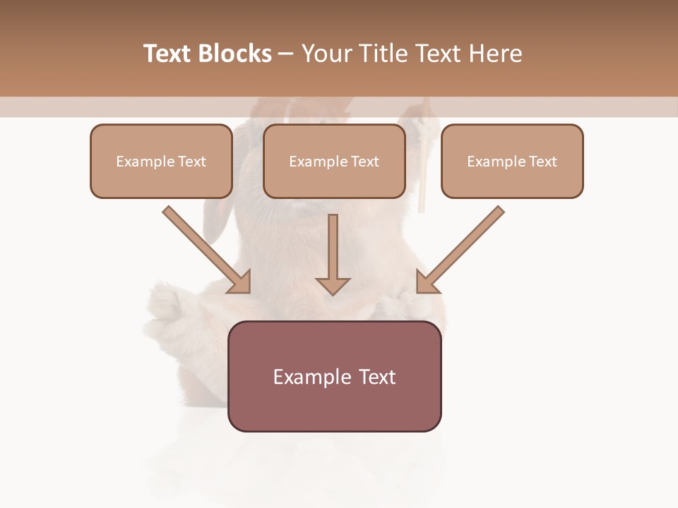 Fur Little Adorable PowerPoint Template