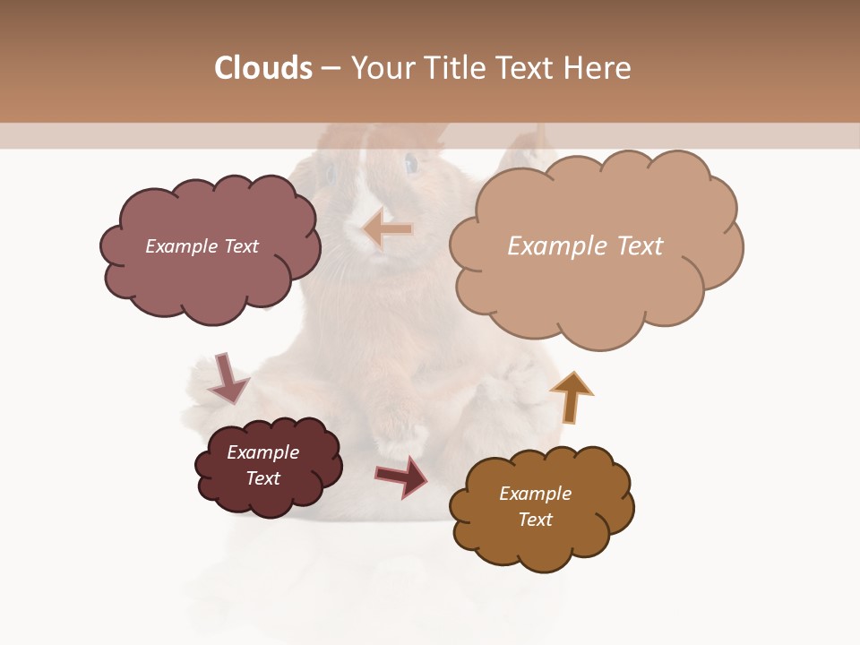 Fur Little Adorable PowerPoint Template