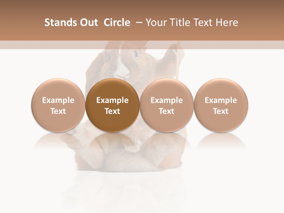 Fur Little Adorable PowerPoint Template