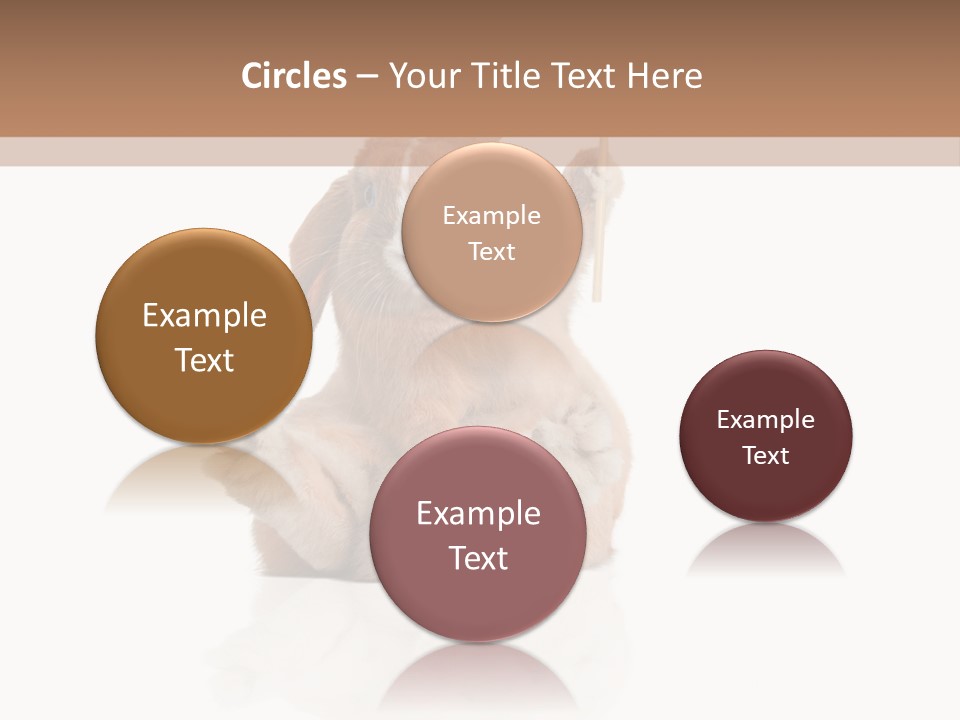 Fur Little Adorable PowerPoint Template