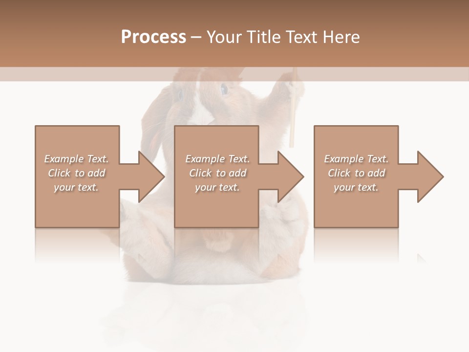 Fur Little Adorable PowerPoint Template