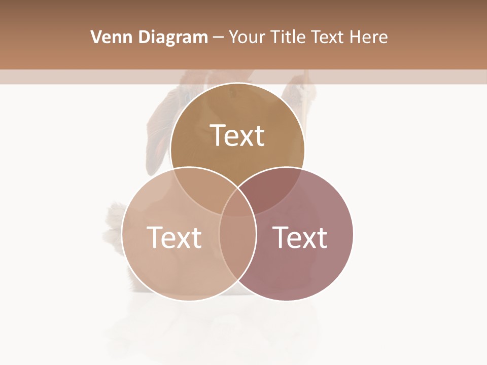 Fur Little Adorable PowerPoint Template