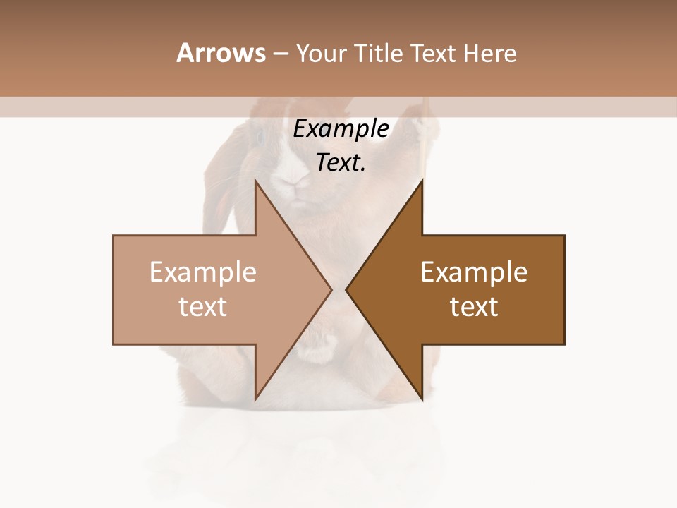 Fur Little Adorable PowerPoint Template