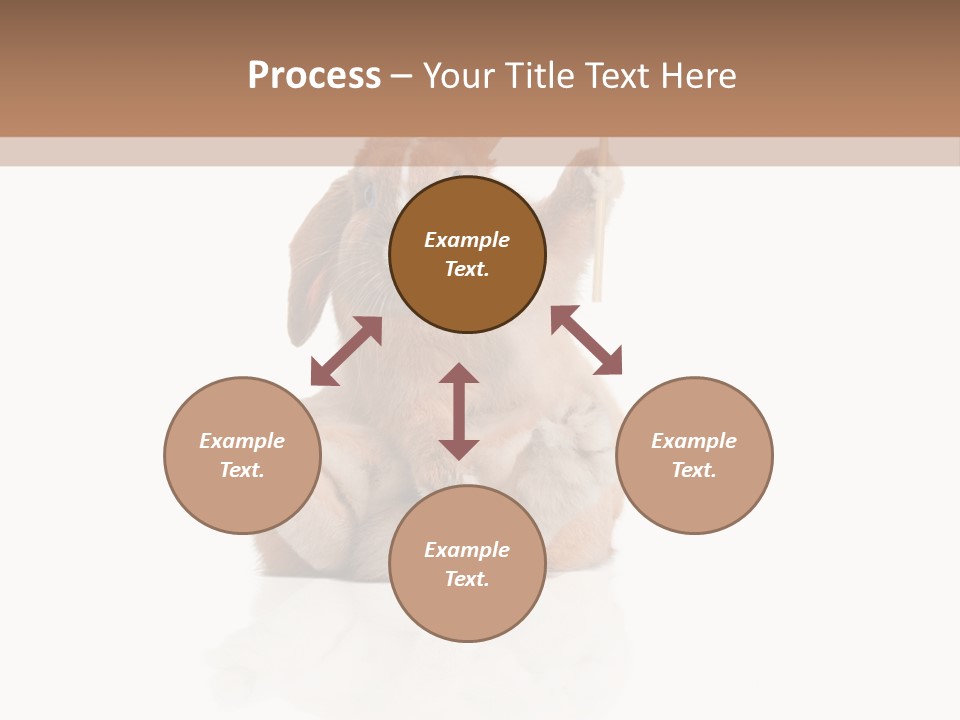 Fur Little Adorable PowerPoint Template