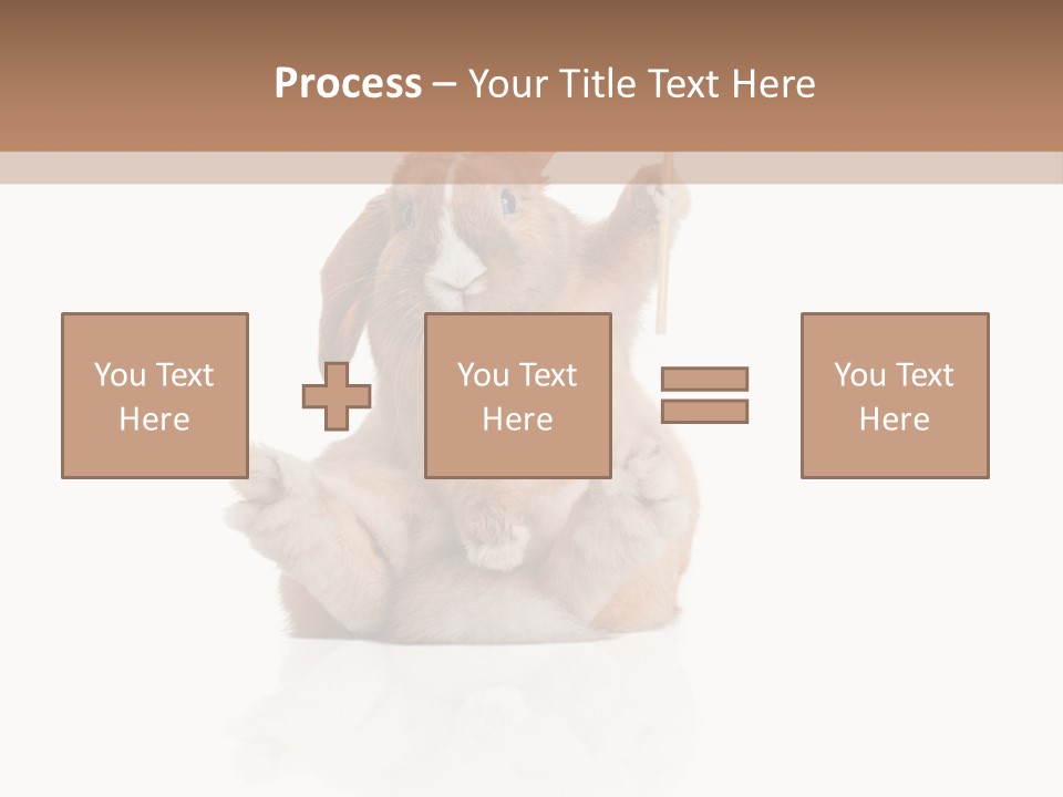 Fur Little Adorable PowerPoint Template