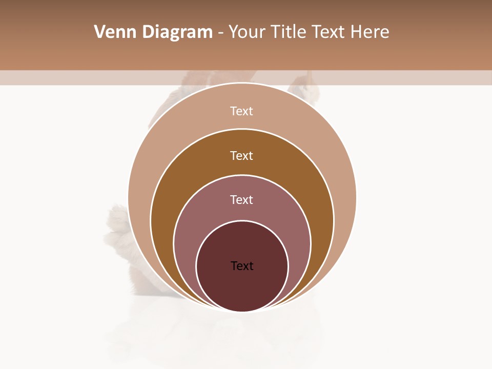 Fur Little Adorable PowerPoint Template