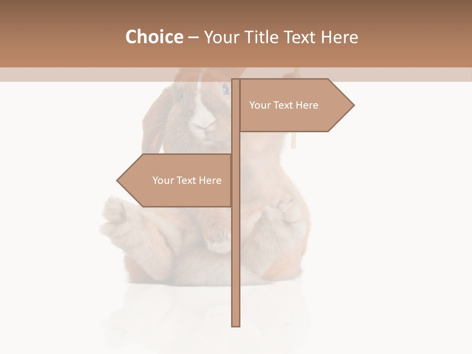 Fur Little Adorable PowerPoint Template