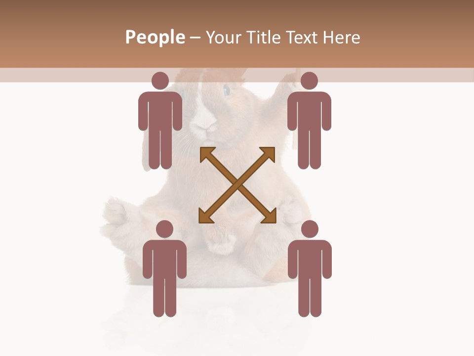 Fur Little Adorable PowerPoint Template