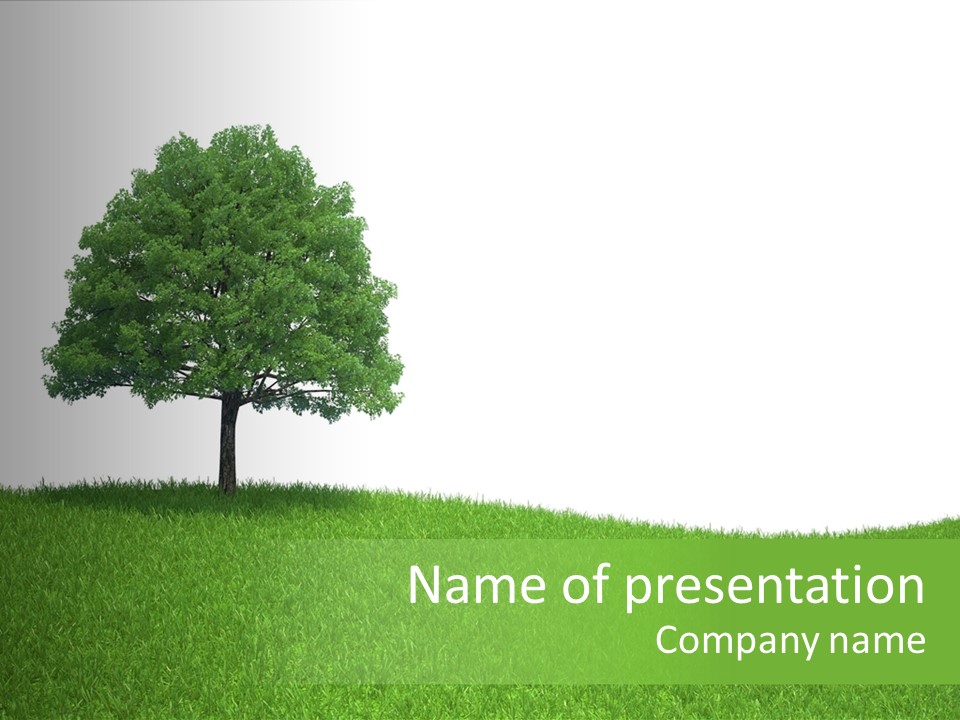 Meadow Sunlight One PowerPoint Template