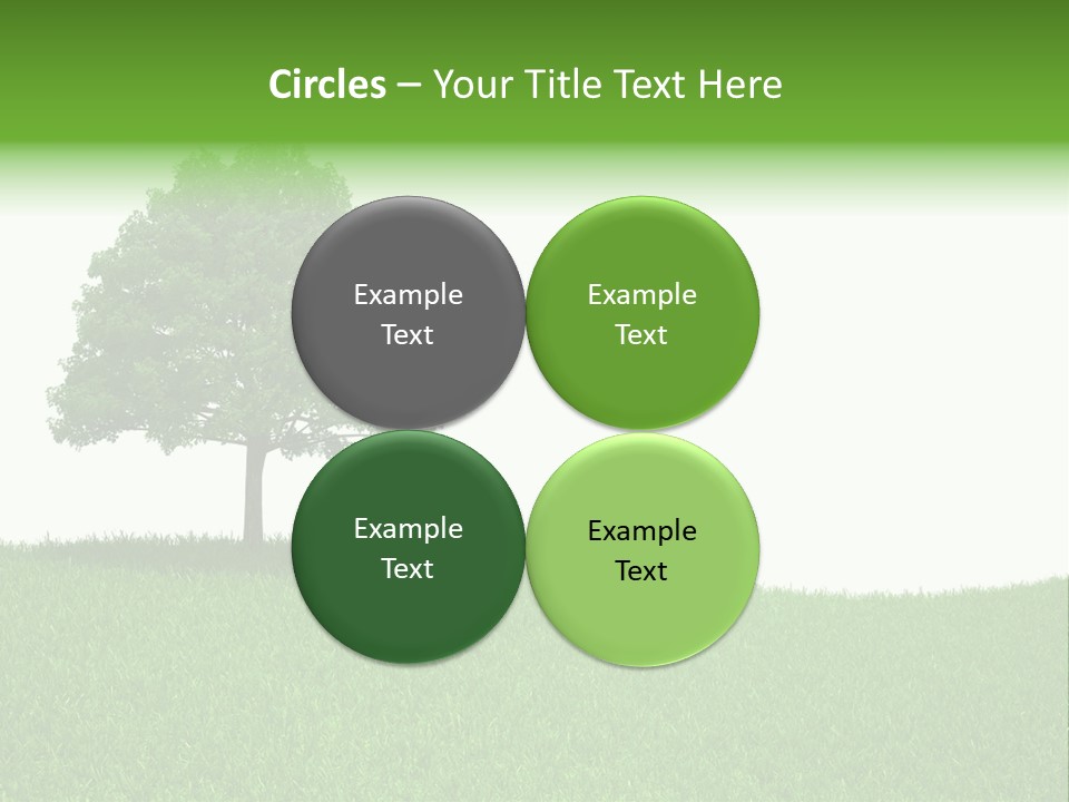 Meadow Sunlight One PowerPoint Template