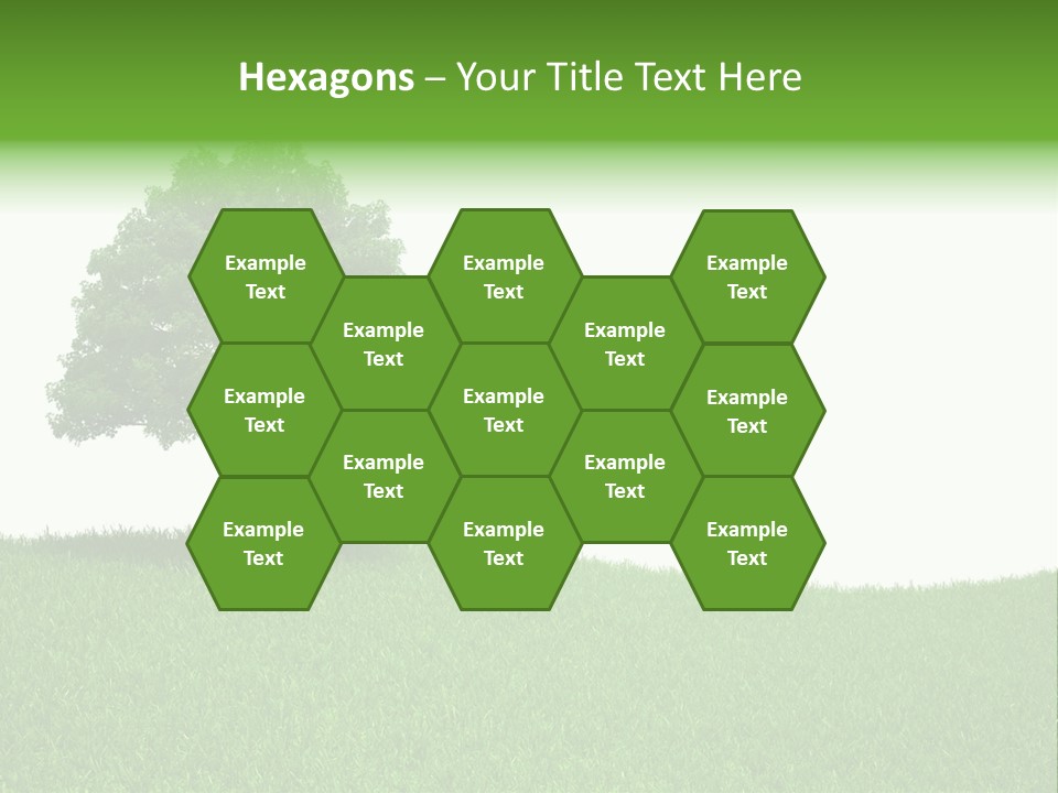 Meadow Sunlight One PowerPoint Template