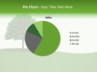 Meadow Sunlight One PowerPoint Template