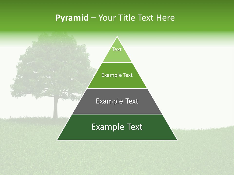 Meadow Sunlight One PowerPoint Template